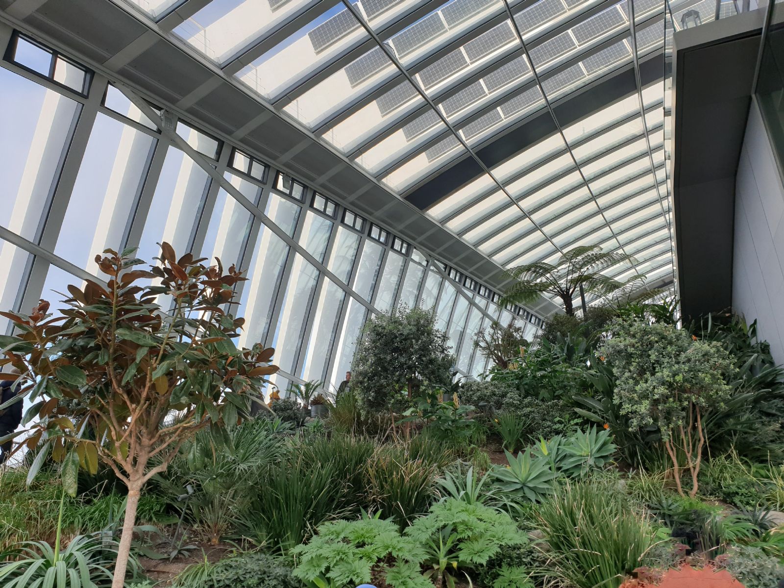 Sky  Garden